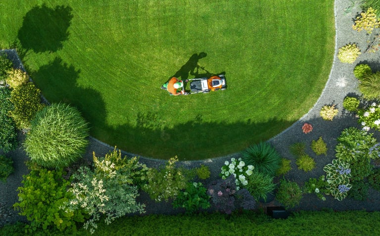 Professional lawn mowing service