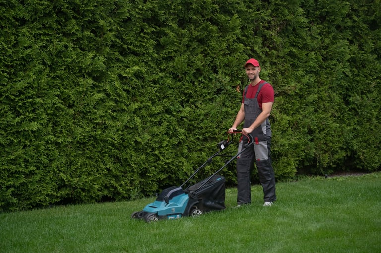 Professional lawn care team