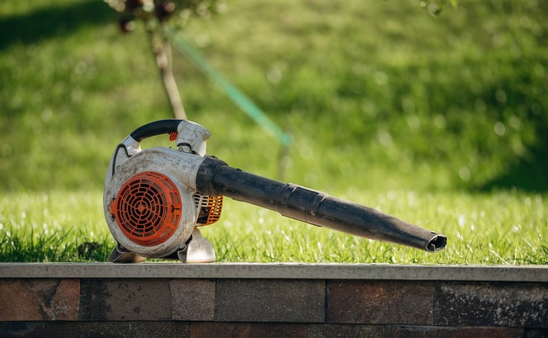 Professional yard cleanup service