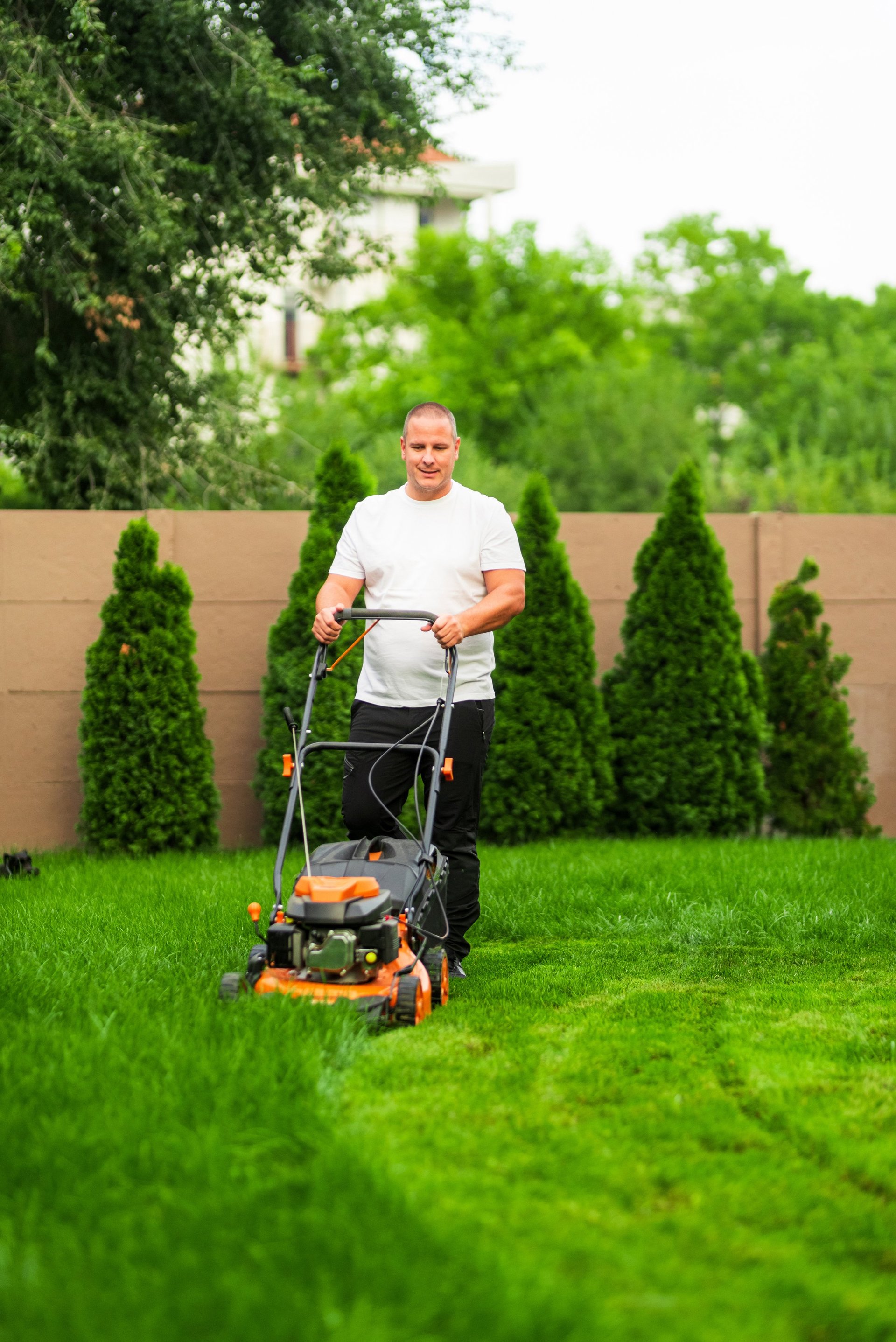 Lawn maintenance plans for homeowners