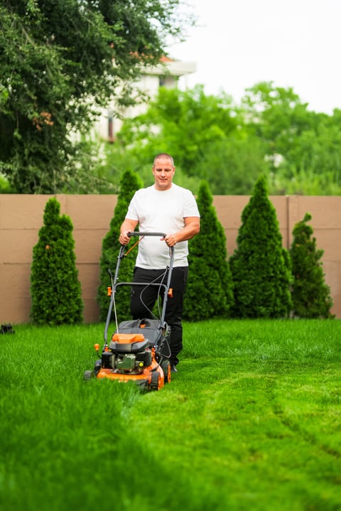 Property maintenance plans