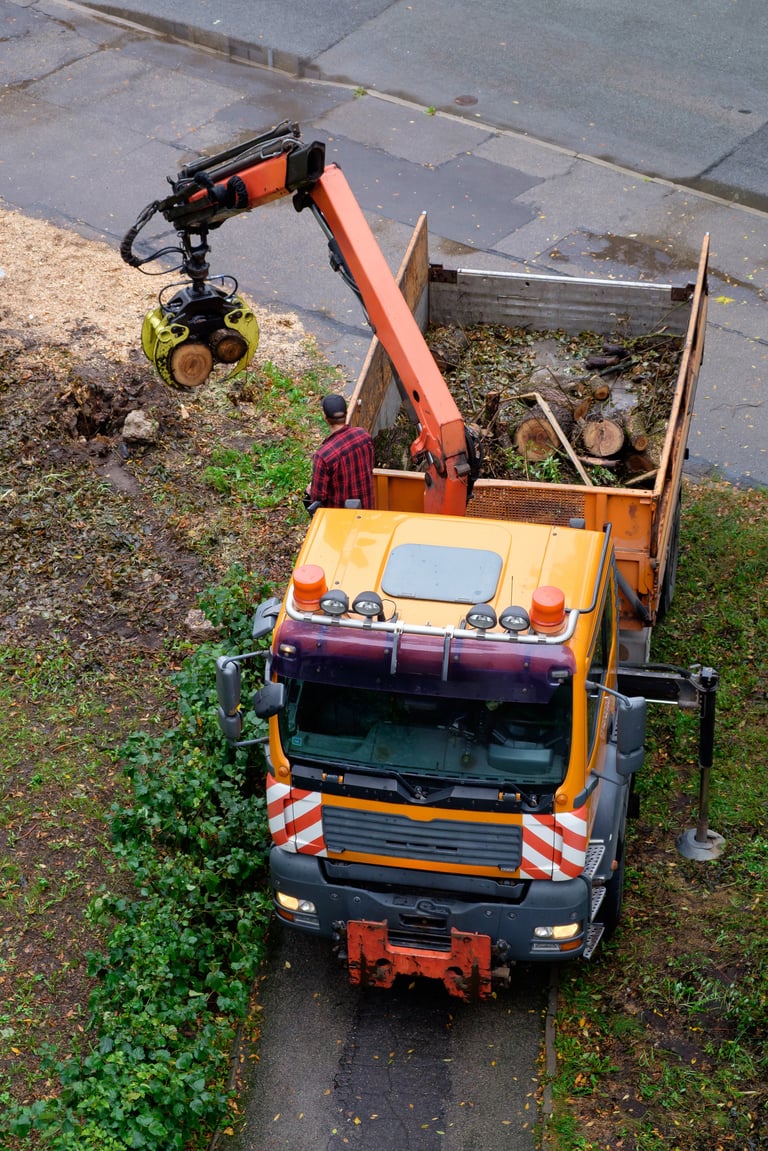 A specialized truck with a hydraulic crane removes and loads fallen tree debris