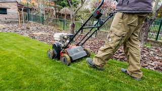 Lawn edging and trimming